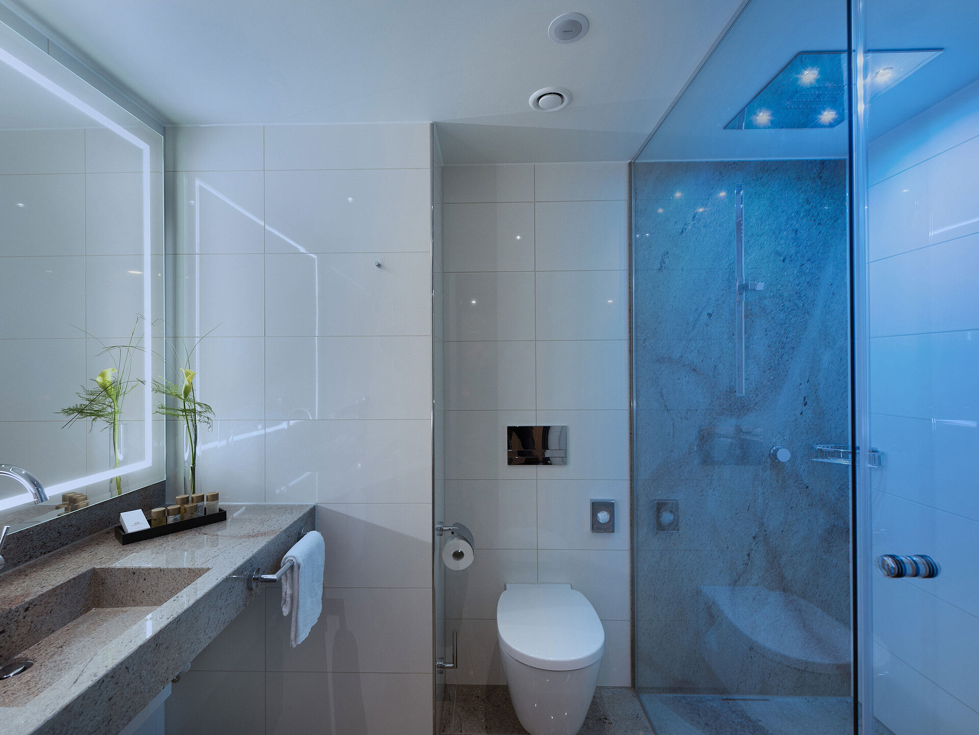 Suite_Farblichtdusche_Ingolstadt_Maritim 1